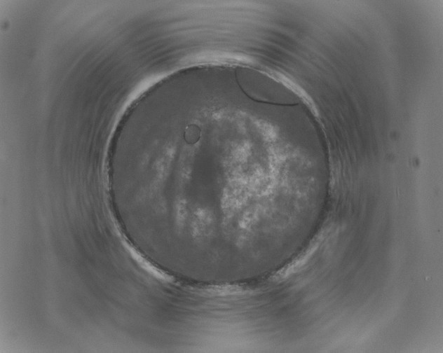 X0000074301037200609151937