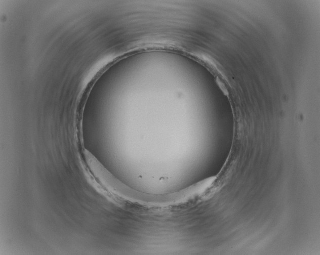 X0000074301038200609151937