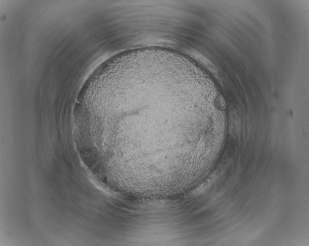 X0000074301039200609151937