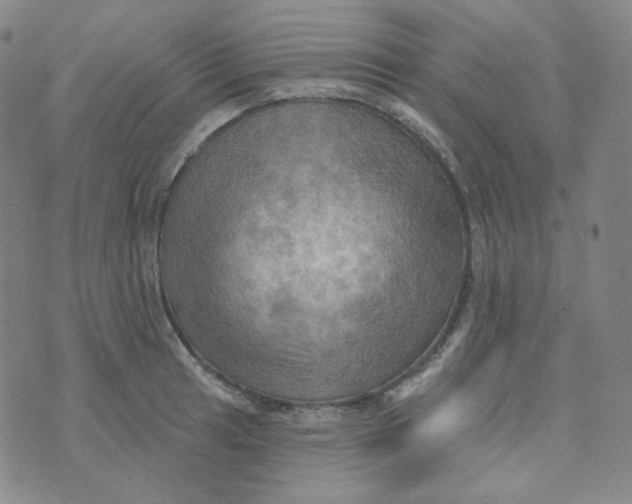 X0000074301041200609151937