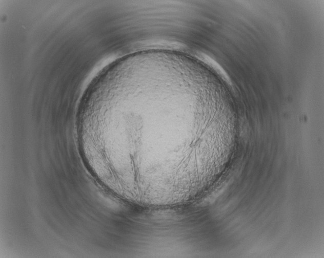 X0000074301043200609151937