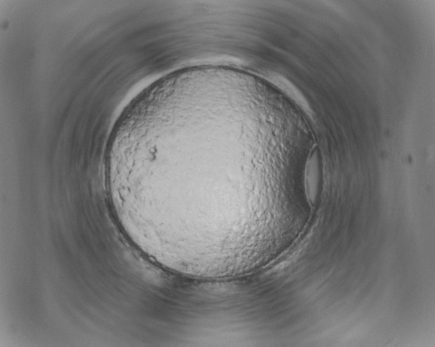 X0000074301044200609151937