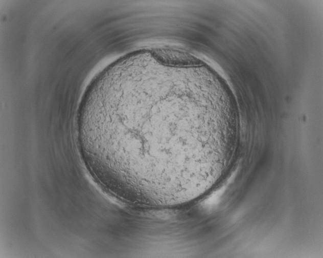 X0000074301045200609151937