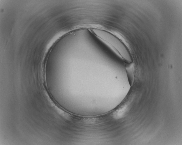 X0000074301046200609151937