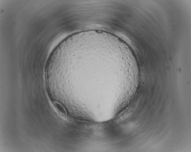 X0000074301047200609151937