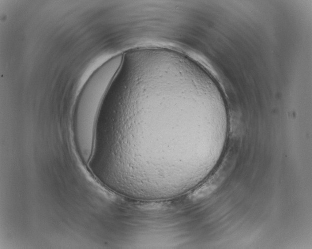 X0000074301048200609151937