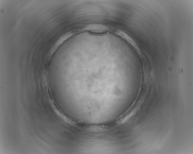 X0000074301049200609151937