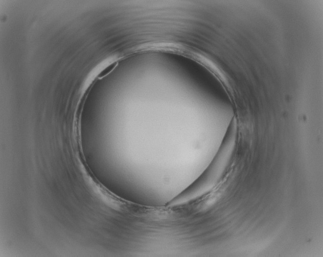 X0000074301050200609151937