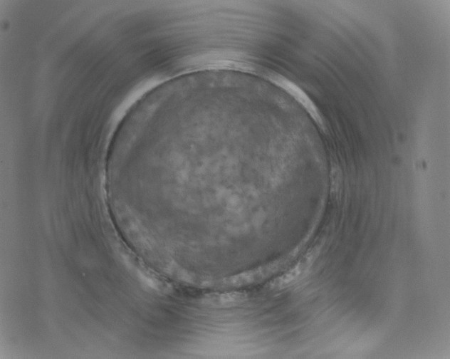 X0000074301051200609151937