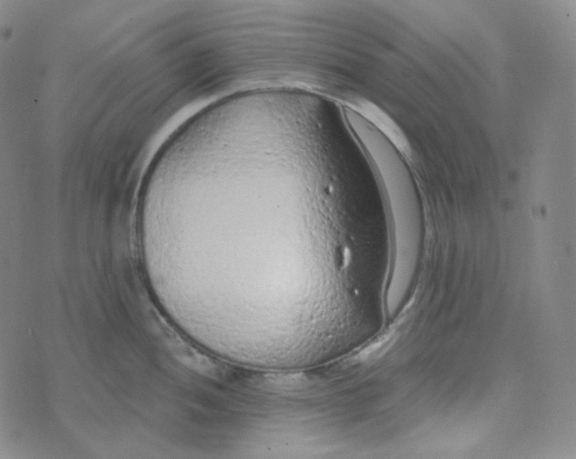 X0000074301052200609151937