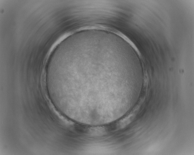 X0000074301053200609151937