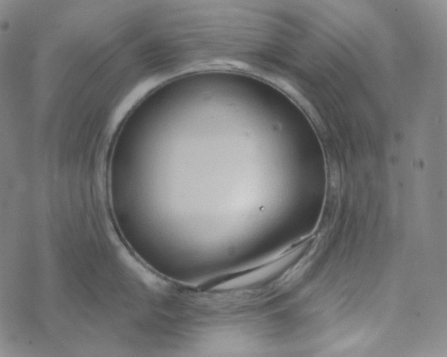 X0000074301054200609151937