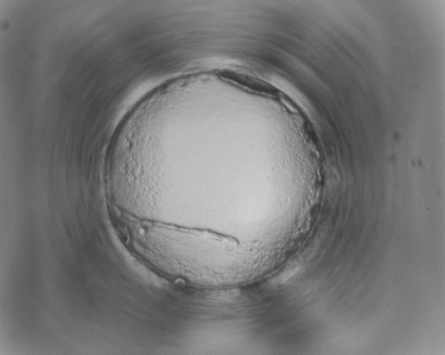 X0000074301055200609151937