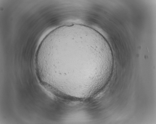 X0000074301056200609151937