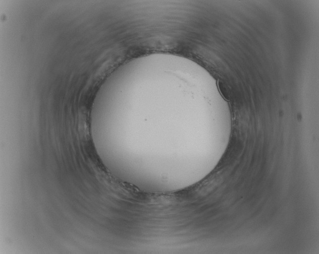 X0000074301058200609151936