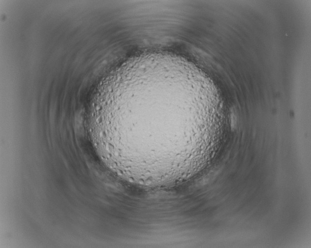 X0000074301059200609151936