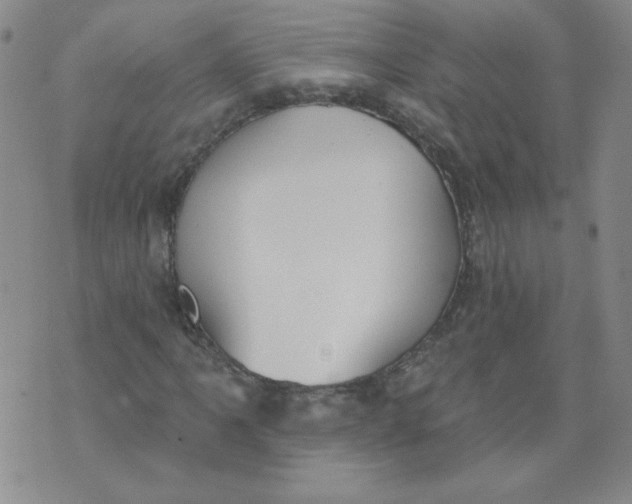 X0000074301061200609151936