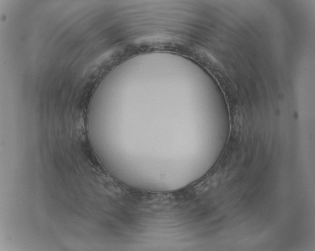 X0000074301062200609151936