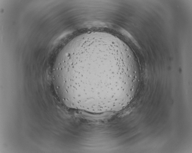 X0000074301063200609151936