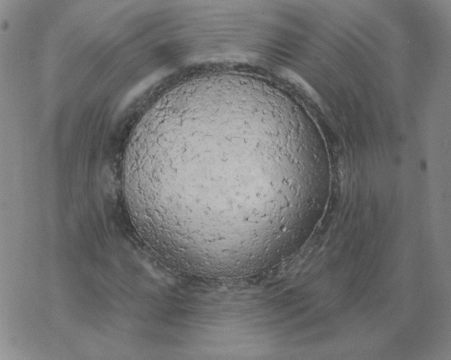 X0000074301064200609151936