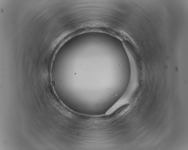 X0000074301065200609151936