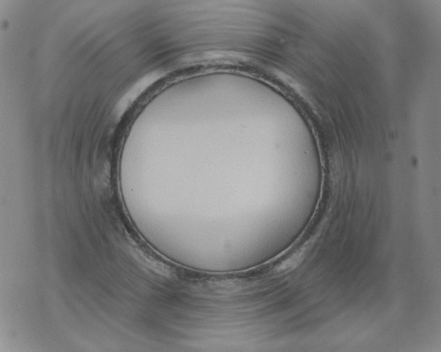 X0000074301066200609151936