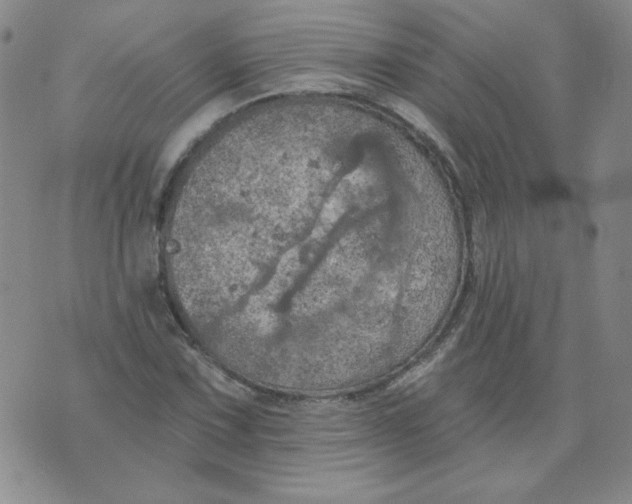 X0000074301067200609151936