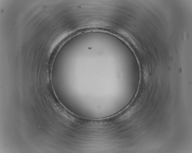 X0000074301069200609151936