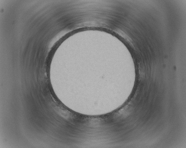 X0000074301070200609151936