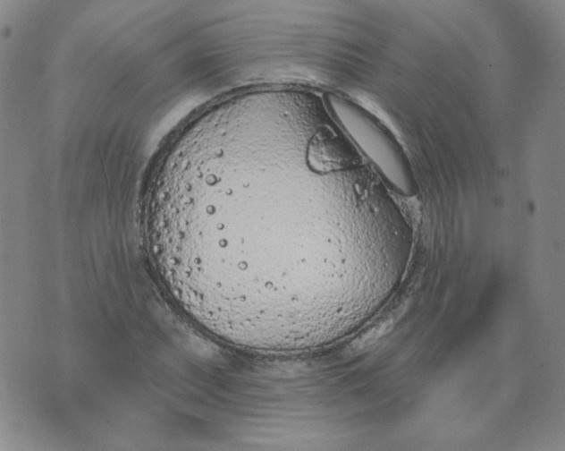 X0000074301071200609151936