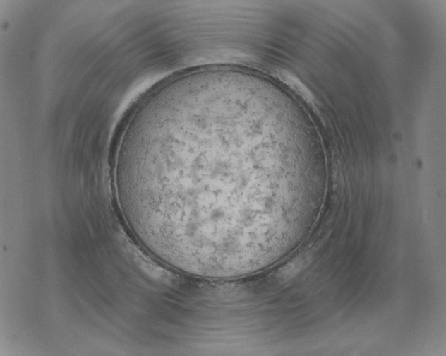 X0000074301072200609151936