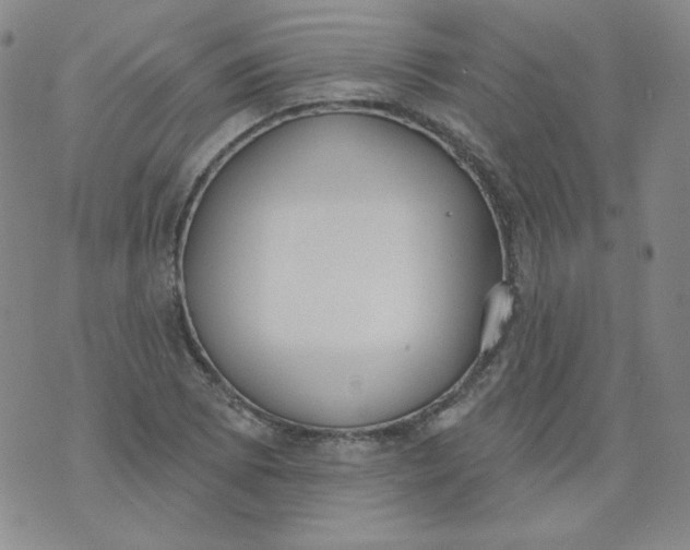 X0000074301073200609151936