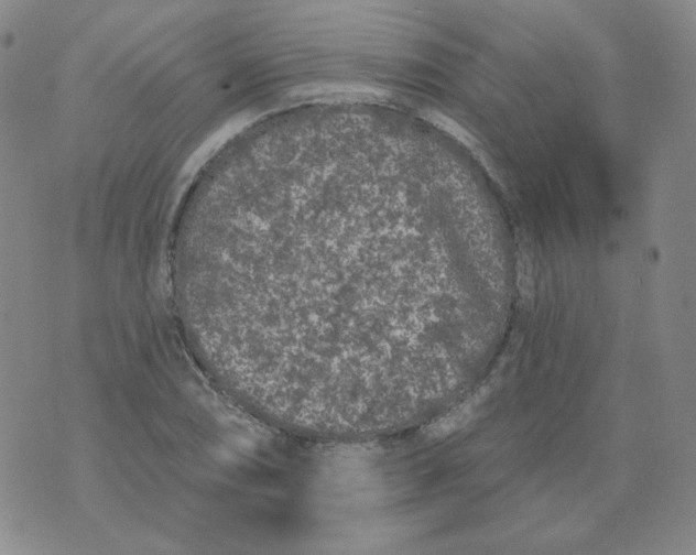 X0000074301074200609151936