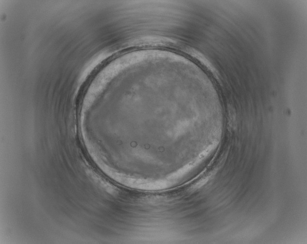 X0000074301075200609151936