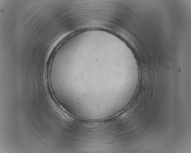 X0000074301076200609151936