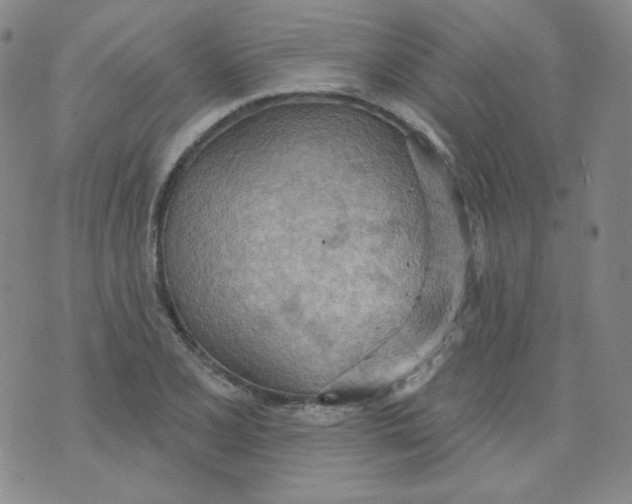 X0000074301077200609151936