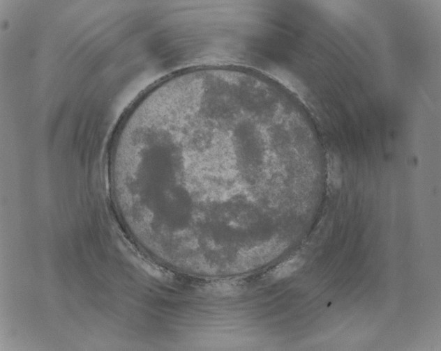 X0000074301078200609151936