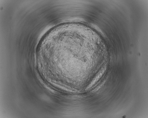 X0000074301079200609151936