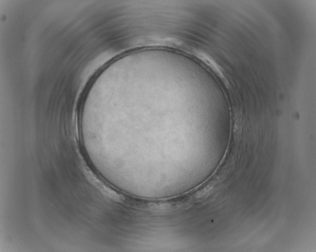 X0000074301080200609151936