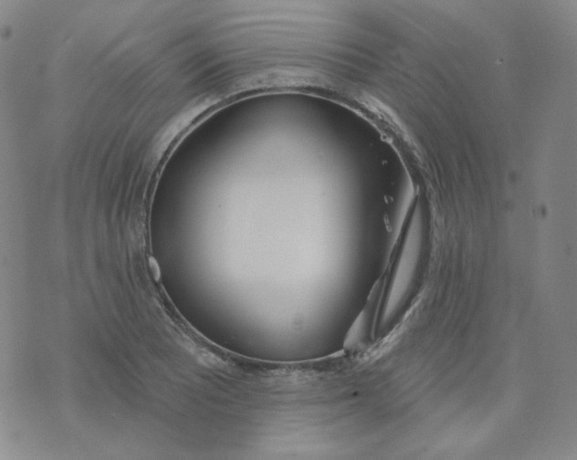 X0000074301081200609151936