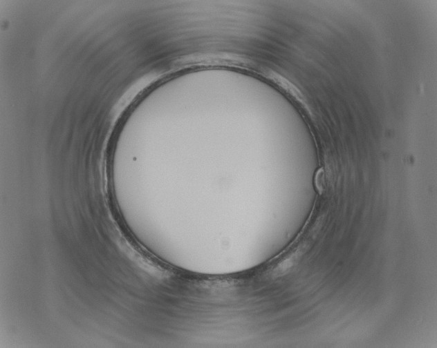 X0000074301082200609151936