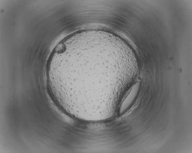 X0000074301083200609151936