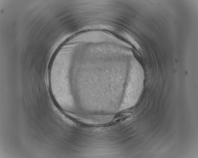 X0000074301084200609151936