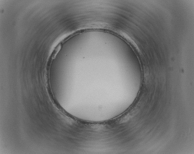 X0000074301085200609151936