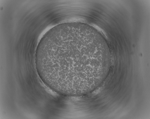 X0000074301086200609151936