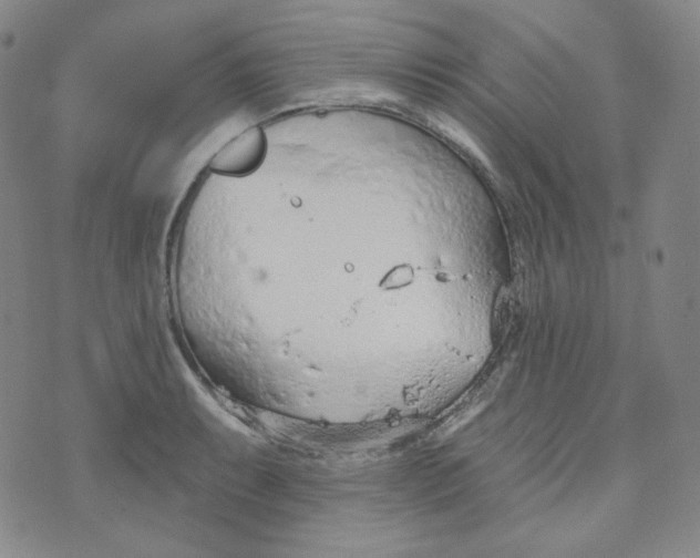 X0000074301087200609151936