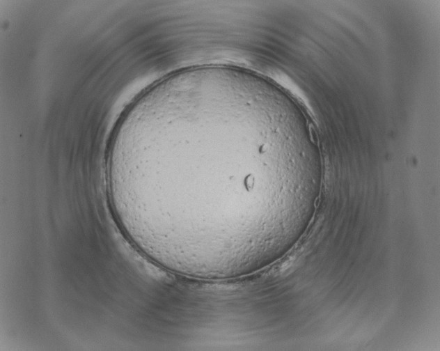 X0000074301088200609151936