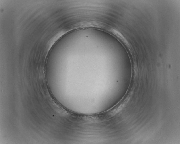 X0000074301089200609151936