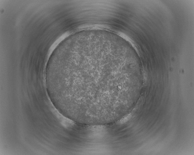 X0000074301090200609151936