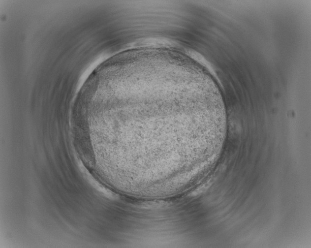 X0000074301091200609151936